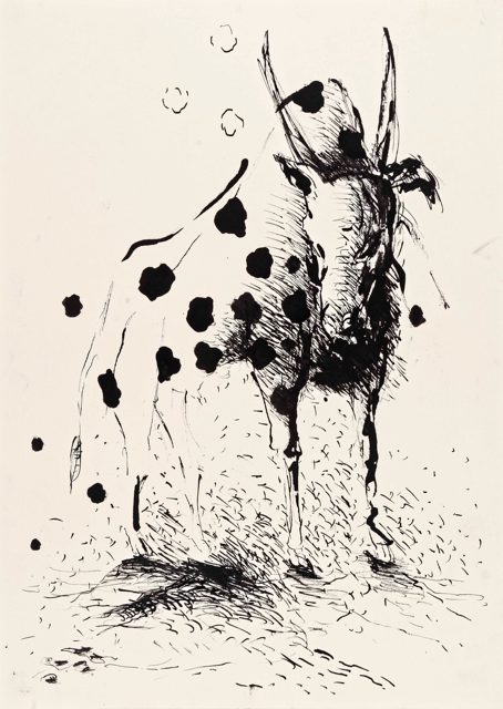 Antelope (1)