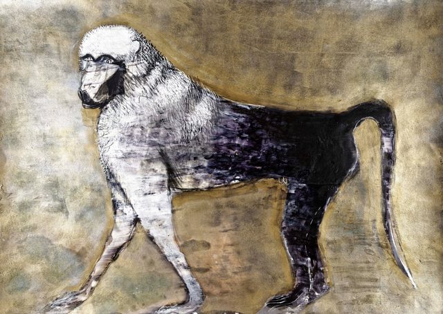 Baboon