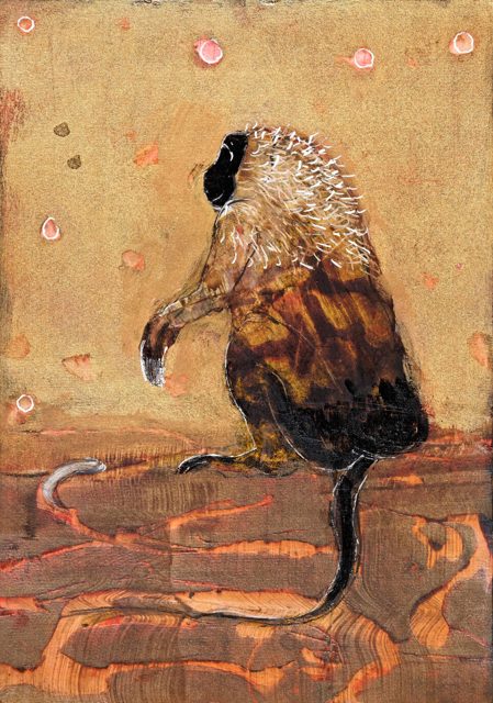 Baboon