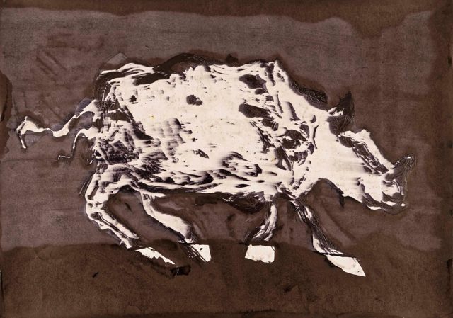 Baby Rhinoceros