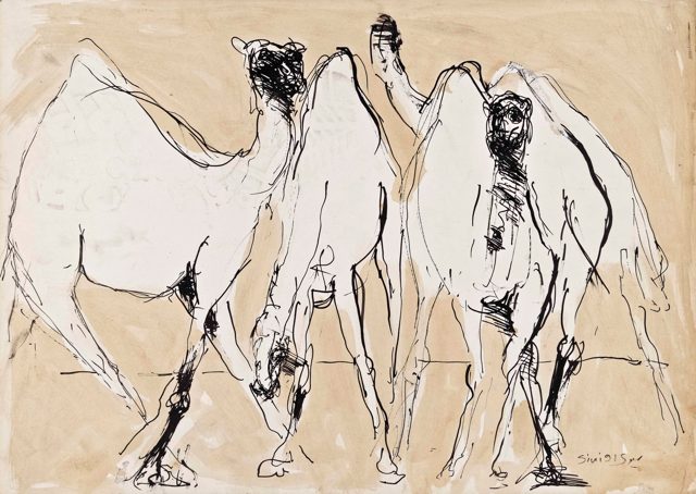 Camels 1