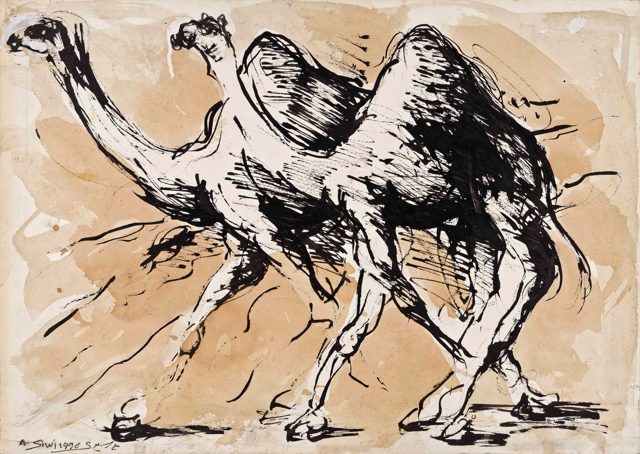 Camels 2