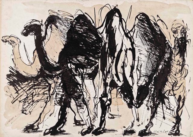 Camels 3