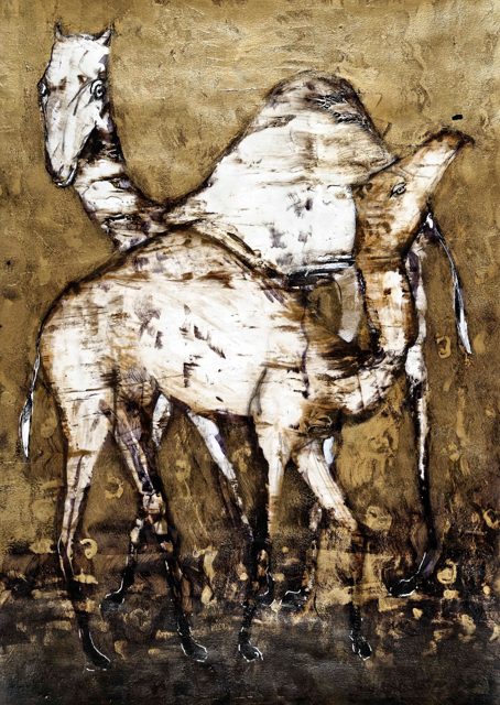 Camels