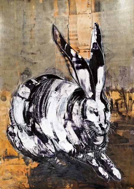 Dürer’s Rabbit