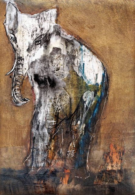 Elephant