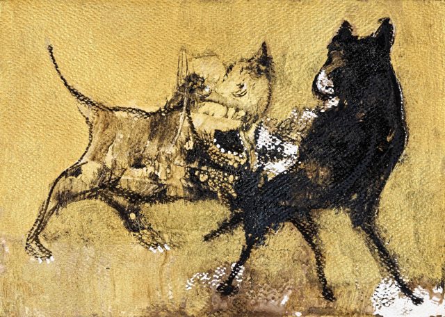 Fighting Dogs