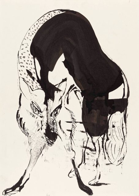 Fox