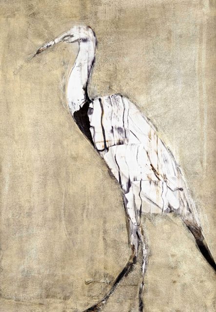 From the Ibis Assemblage