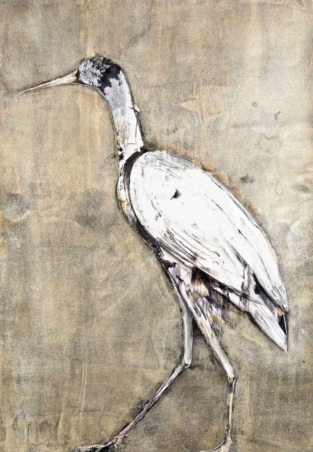 From the Ibis Assemblage