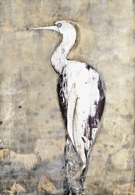 From the Ibis Assemblage