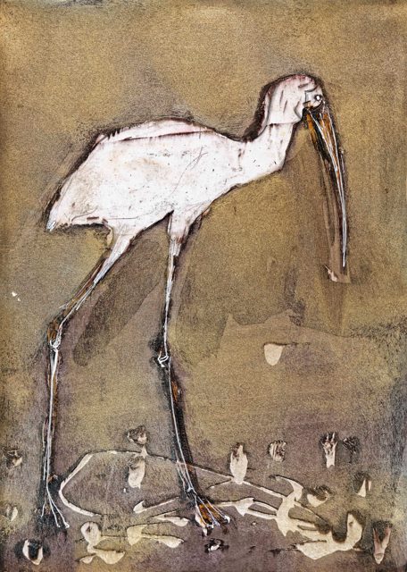 Gray Heron