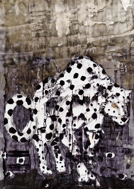 Leopard