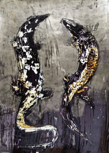 Lizards