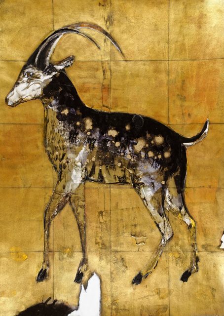 Male Deer