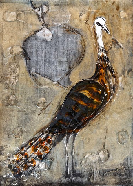Peacock (1)