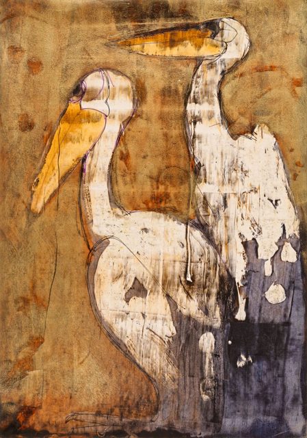 Pelican