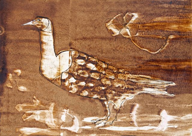 Persian Duck