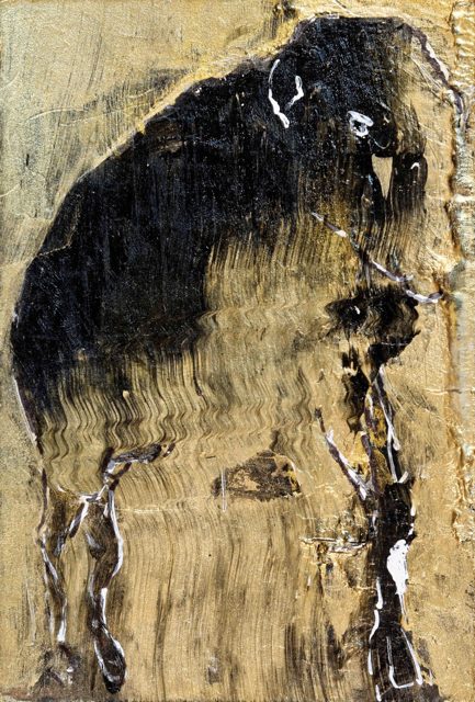 Primitive Buffalo