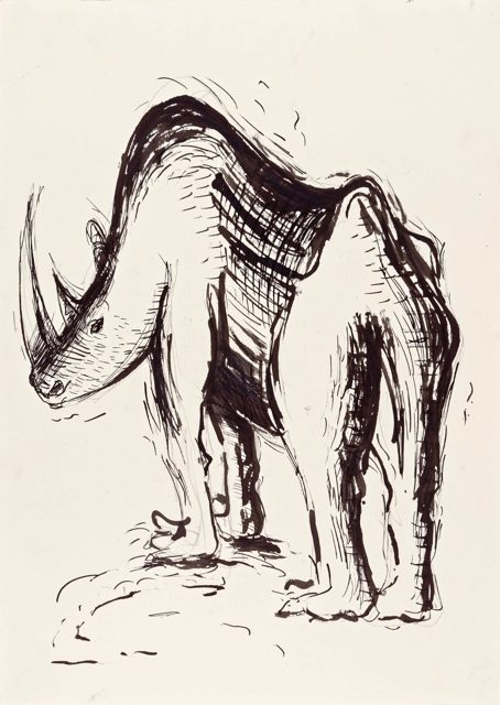 Rhinoceros
