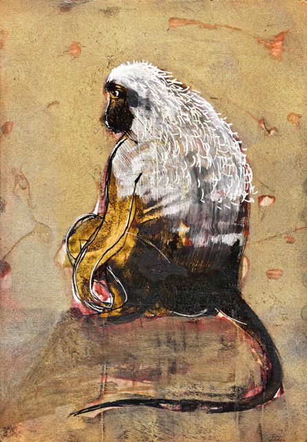 Thinking Baboon